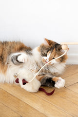 Jouet pour chat en peau de mouton naturelle : Souris